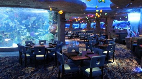 10 сказочных подводных ресторанов, которые надо посетить хотя бы раз в жизни