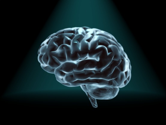 10 интересных фактов о мозге