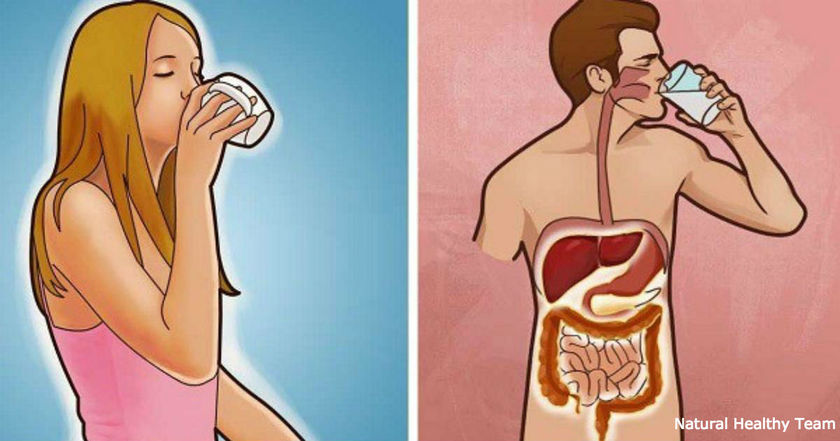 Вот что происходит с вашим телом каждый раз, когда вы пьете воду натощак