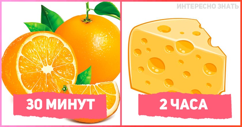 Сохрани себе: За какое время переваривается разная еда