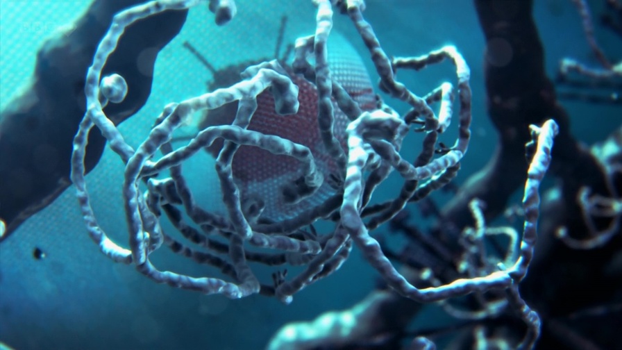 Удивительная научная анимация:  Внутренняя жизнь клетки 