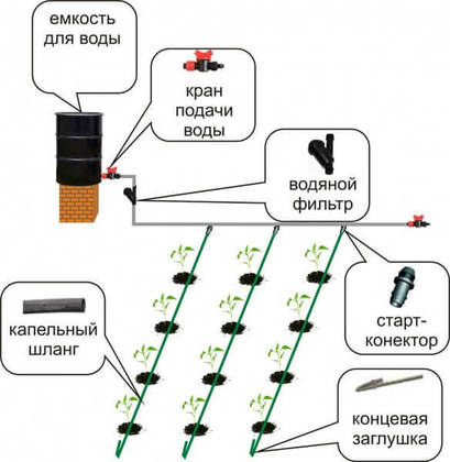 Оригинальное решение: Теплица на крыше дома