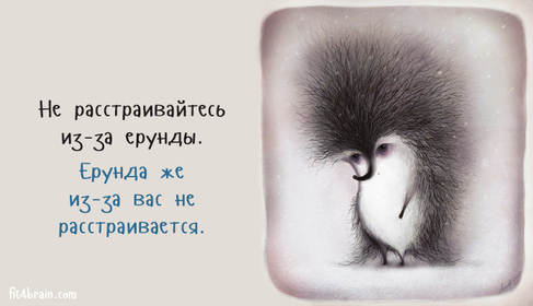 Совет дня