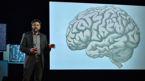 Анджан Чаттери: Как ваш мозг узнаёт красоту