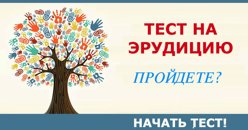 Ответьте на 11 вопросов   и узнаете, в каких науках вы сильны! 