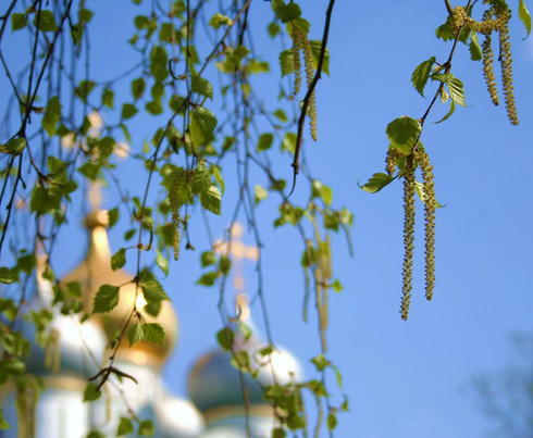 Что можно и что НЕЛЬЗЯ делать на Троицу