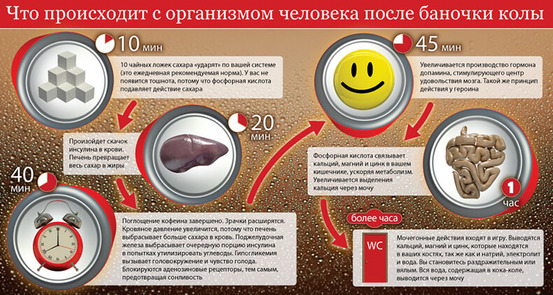 Coca Cola под микроскопом: факты, которые поставят точку в вопросе пить или не пить