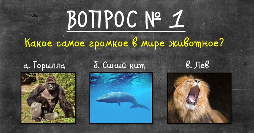 Умнее ли вы гениальных 10-летних детей? 