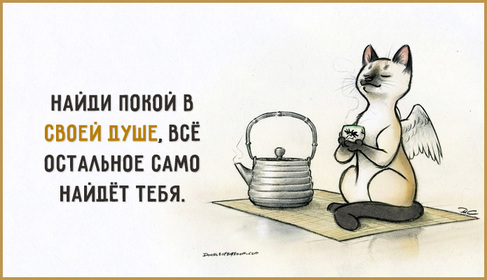 Совет дня