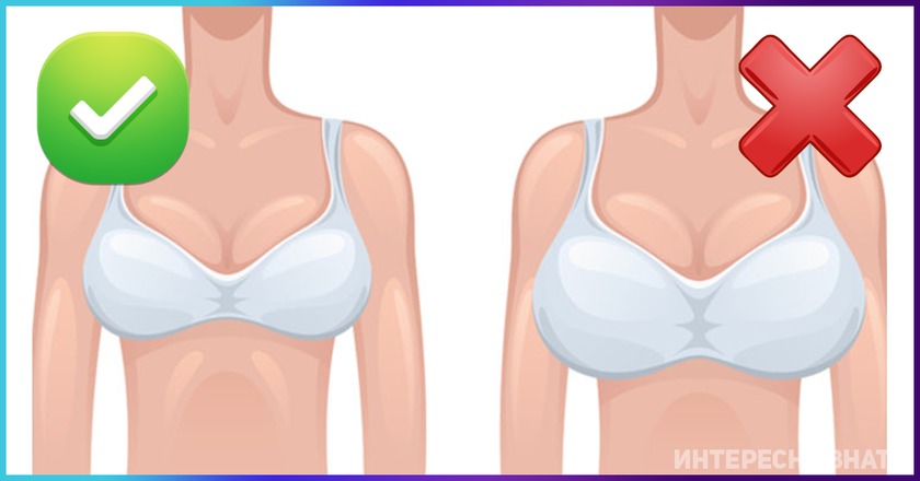 4 мифа о женской груди, в которые пора перестать верить
