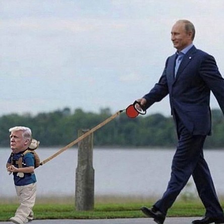 Трамп встретился с Путиным — и теперь над ним смеется весь мировой интернет